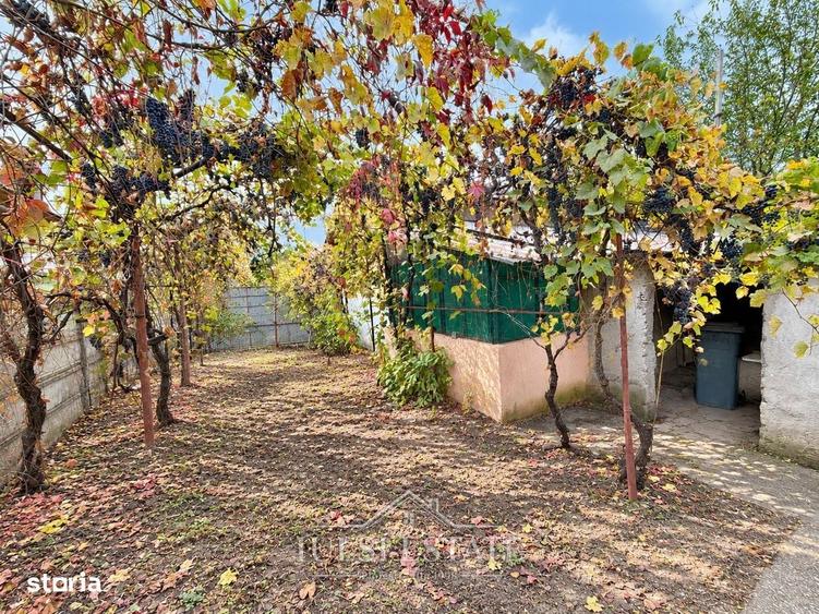 Casă cu 3 camere în Bărcănești