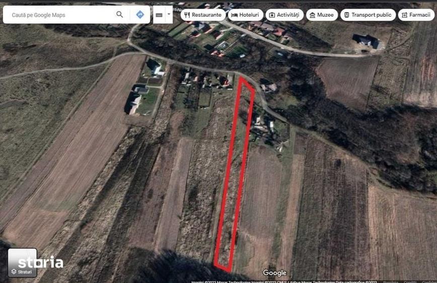 Teren de 4870 mp, în Albota