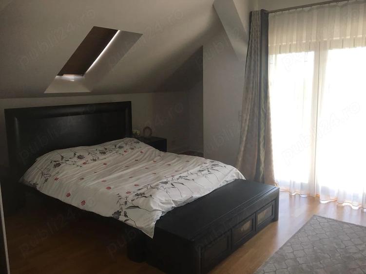 Casa de vanzare cu domeniu generos de 5.000 mp (50 ari) Geoagiu, Hunedoara - 10