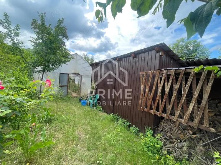 Casă cu Teren 6500 Mp în Pianu