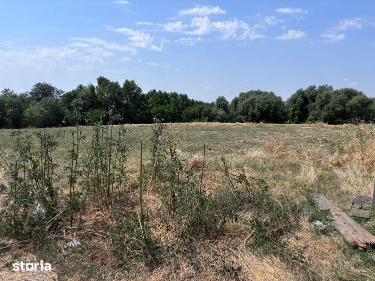 Teren de 2220 mp, în Coșoveni