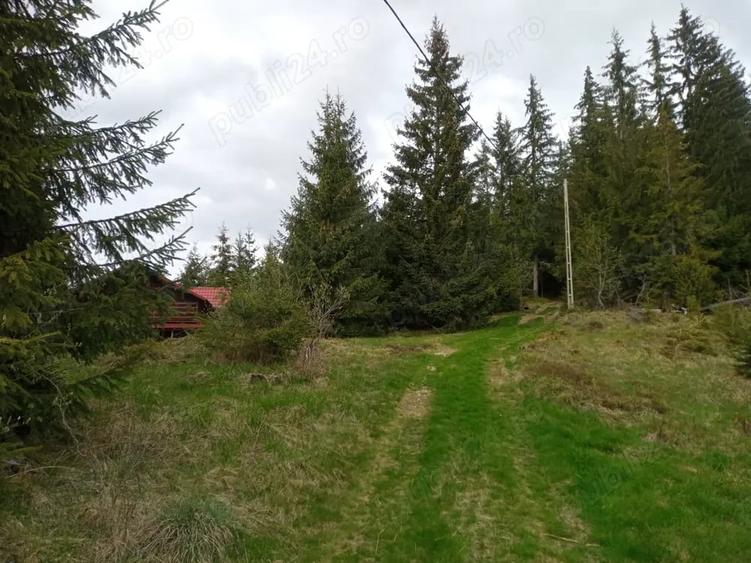 Teren de 653 mp, în Muntele Băișorii