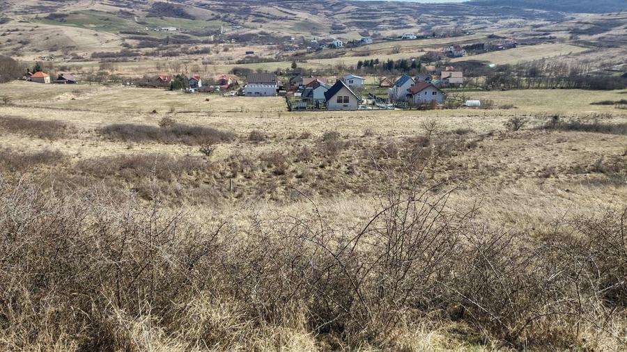 Oferta! Teren intravilan, 1253 mp, frt: 41 m, in Borhanci - 7