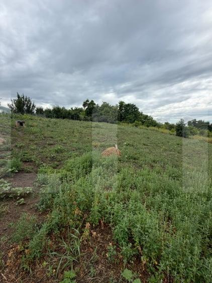 Teren Construcții intravilan de 1532 mp, în Dorohoi