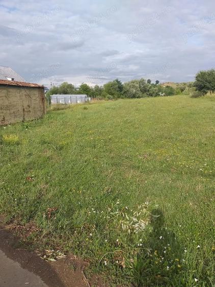 Teren de 2900 mp, în Central