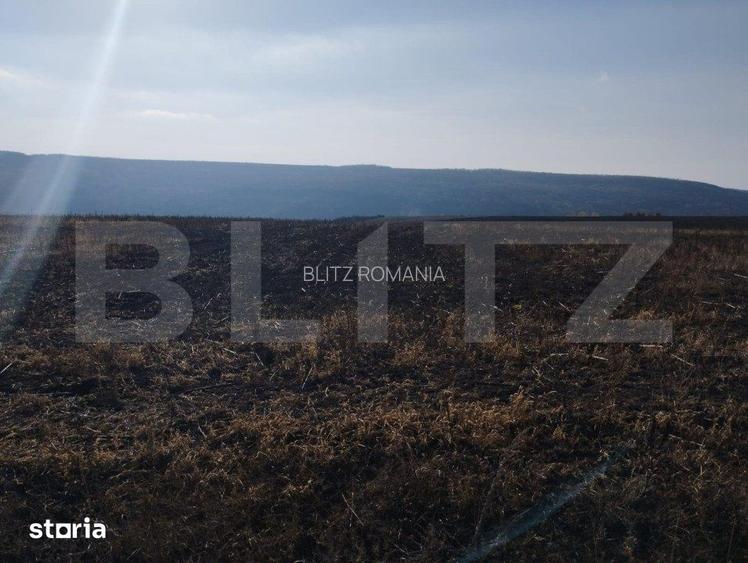 Teren 2,8 ha, langa viitoarea Autostrada, Letcani