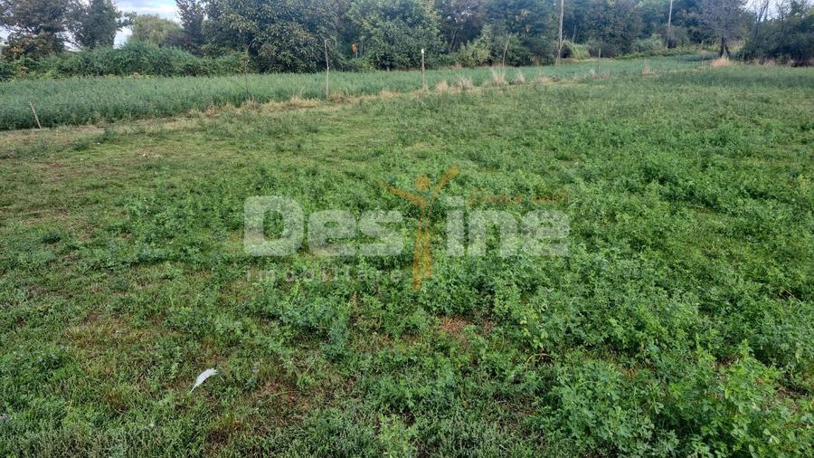Teren agricol intravilan de 1667 mp, în Huși
