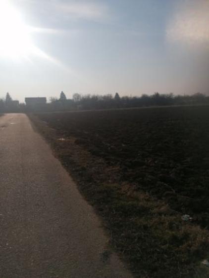 Teren intravilan de 7298 mp, în Ciorogârla