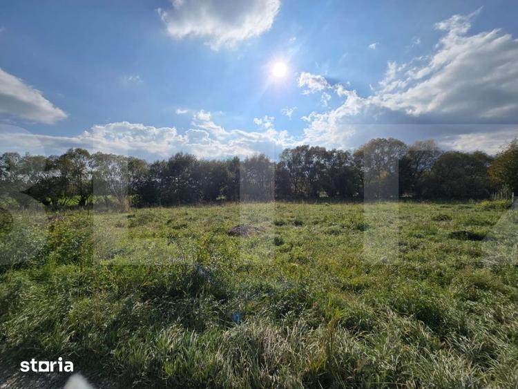 Teren de 1200 mp, în Ciurila