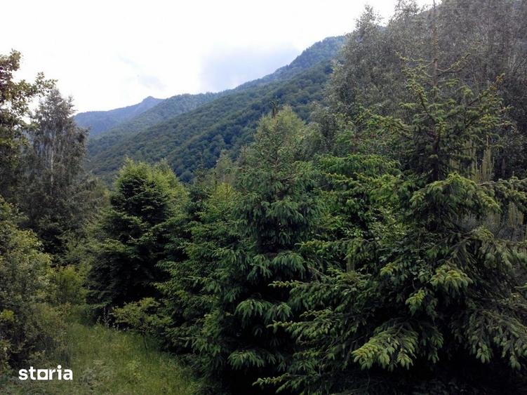 Teren de 5700 mp, în Râu de Mori