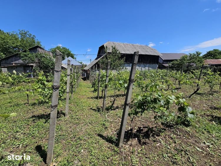Casă cu 3 camere cu Teren 1330 Mp în Păunești