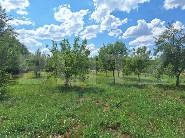 Casă cu 3 camere cu Teren 4600 Mp în Plopi