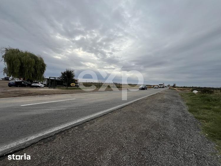 Teren de 15000 mp, în Sud