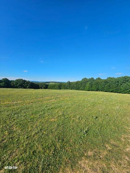 Teren extravilan, panorama deosebita intre Corunca si Bozeni,16.900 mp - 4