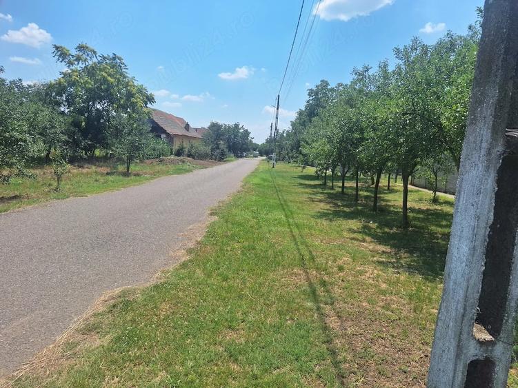 Casă cu Teren 5095 Mp în Călacea