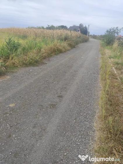 Teren de 2500 mp, în Odoreu