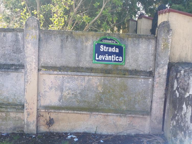 Teren Construcții intravilan de 470 mp, în Cornetu