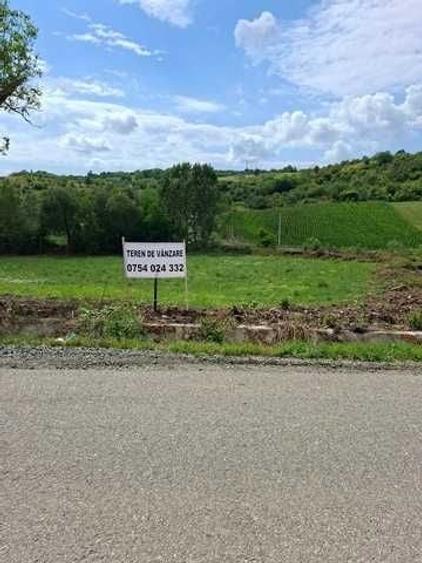 Spațiu comercial, în Aghireș