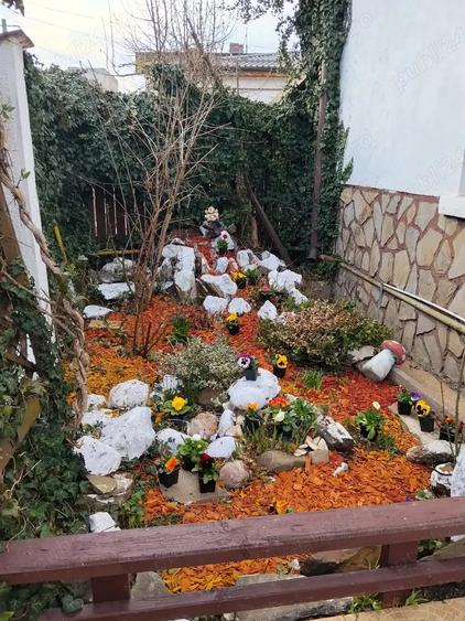 Casă cu 6 camere cu Teren 240 Mp în Transilvaniei