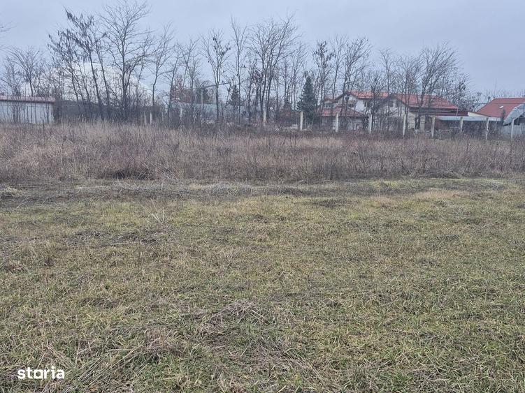 Teren de 1300 mp, în Balotești