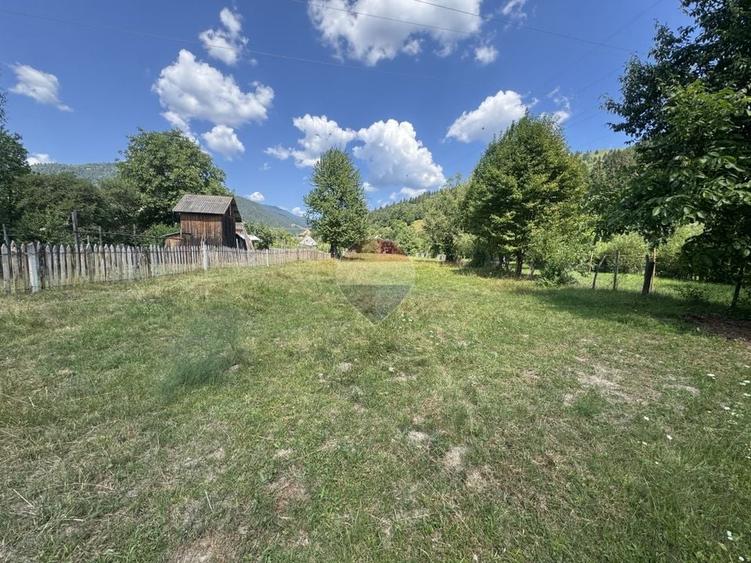Teren Construcții intravilan de 2860 mp, în Borca