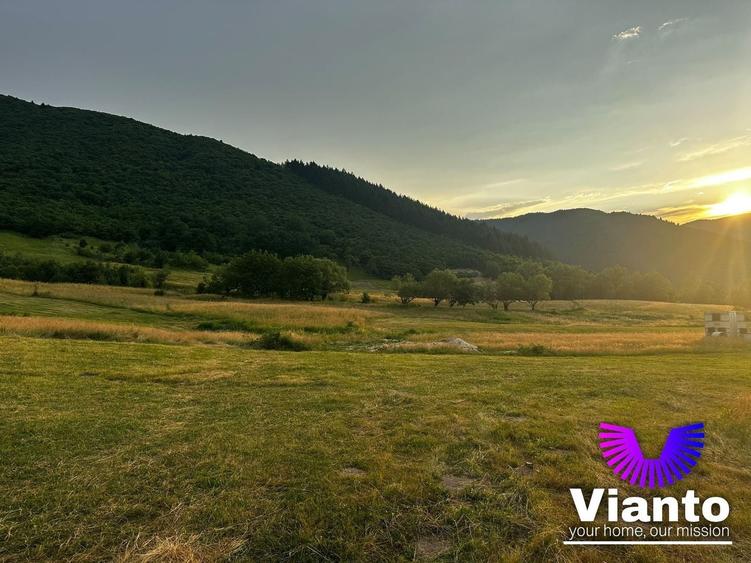 Teren agricol extravilan de 3408 mp, în Gura Râului