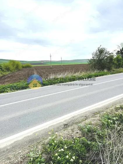 TEREN intravilan 4500 mp PIATRA NEAMT strada Izvoare - 4