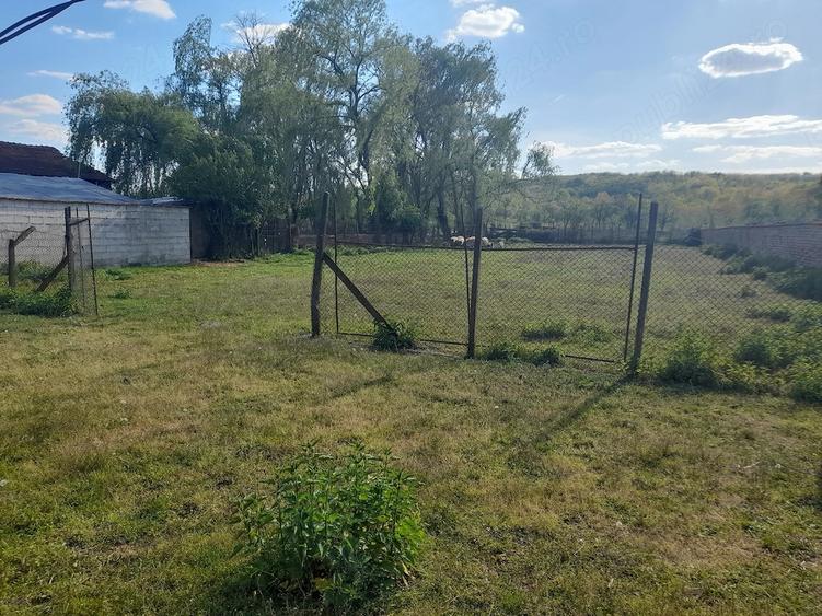Casă cu 4 camere cu Teren 1600 Mp în Zăgujeni