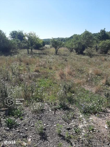 Teren de 1300 mp, în Central
