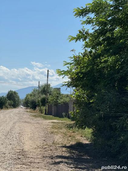 Teren de 2000 mp, în Hălchiu