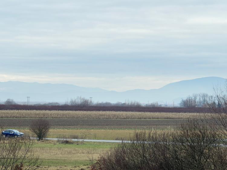 Teren extravilan de 1500 mp, în Teliu