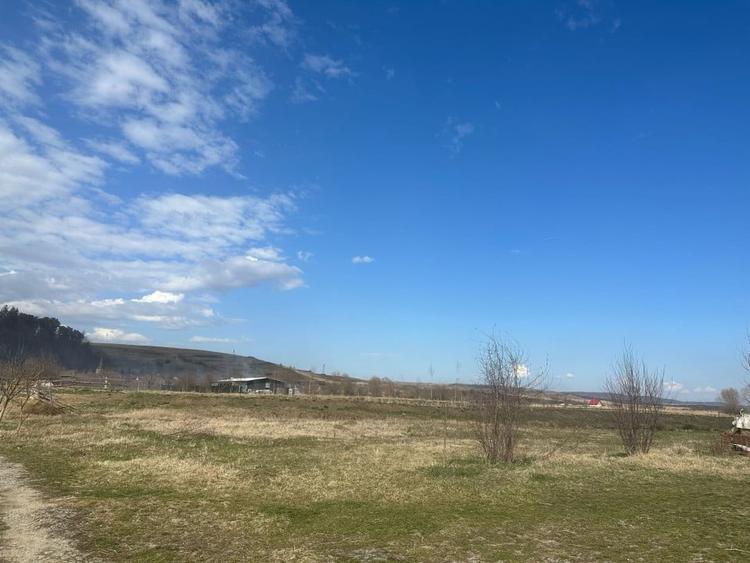 Casă individuală cu 5 camere cu Piscina în Periferie