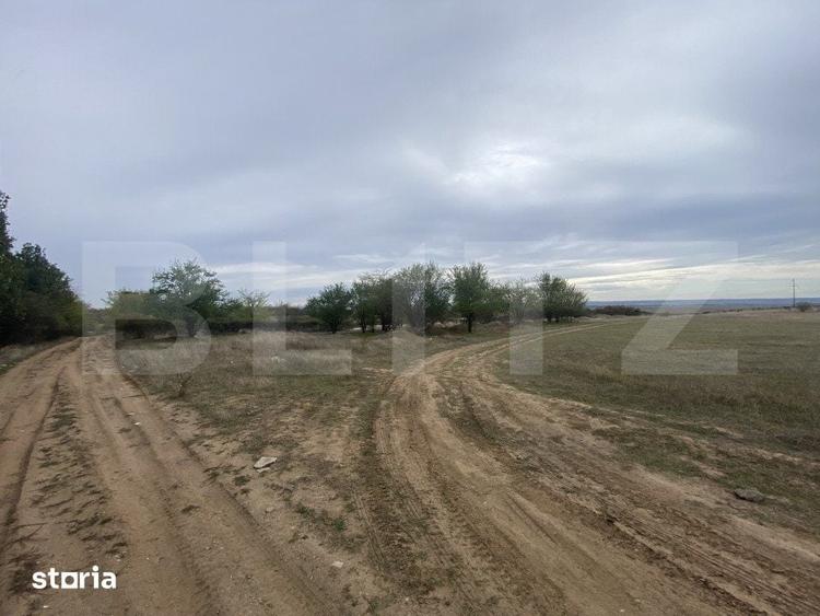 Teren de 15000 mp, în Coșoveni