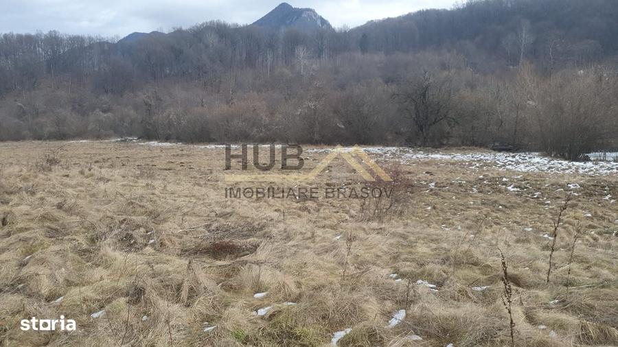 Spațiu comercial, în Părău