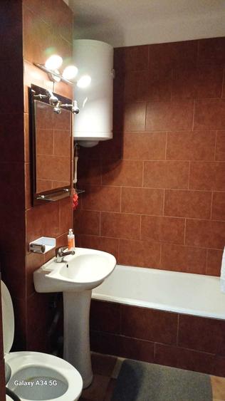 Apartament cu 2 camere decomandat în Pecinișca