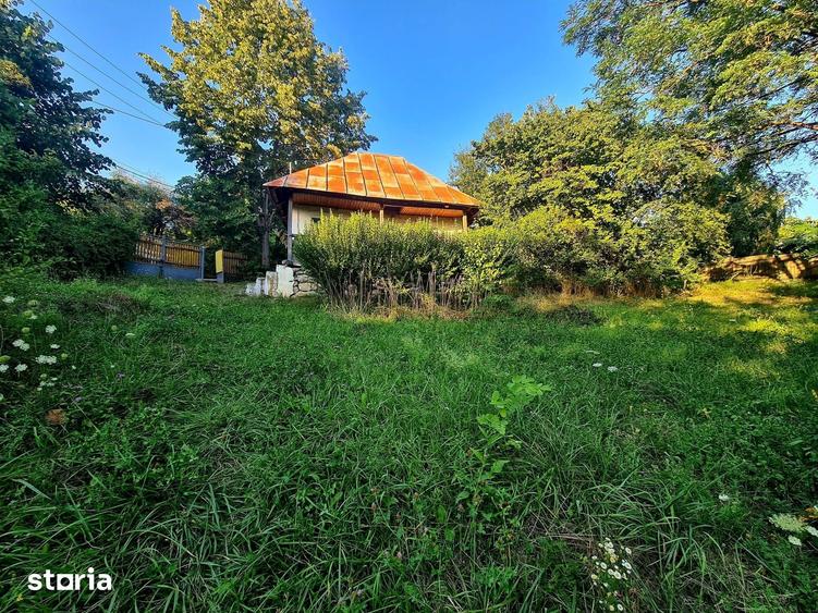 Teren de 3250 mp, în Păușești