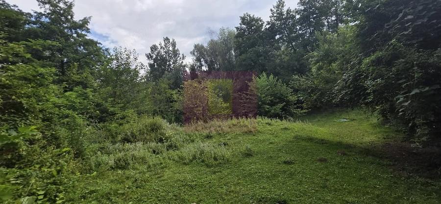 Teren de 15000 mp, în Telega