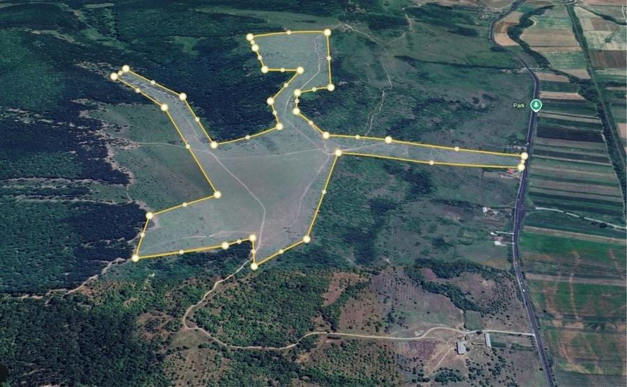 48 Hectare Prunisor Mehedintii - 2