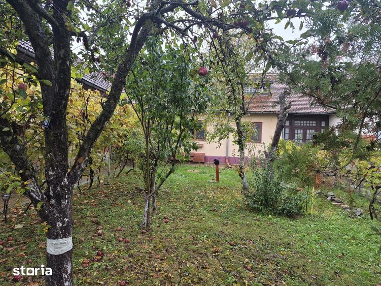 Casă cu 3 camere cu Teren 620 Mp în Central