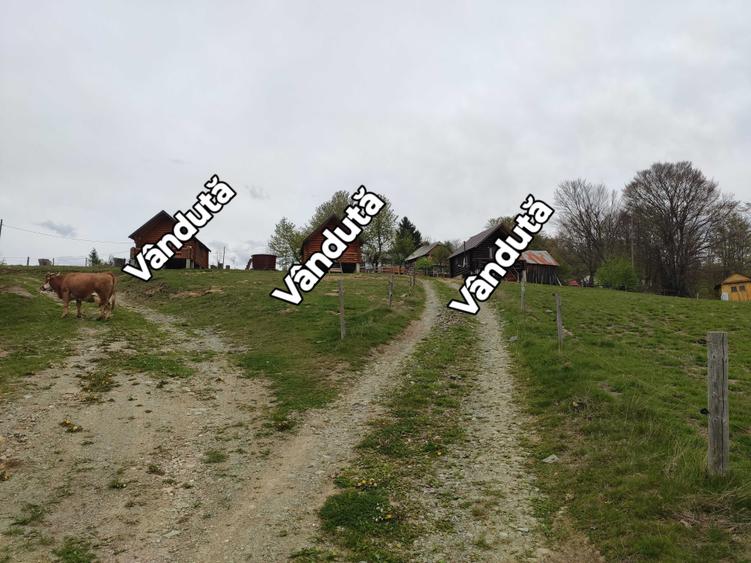 Casă cu Teren 30 Mp în Arieșeni
