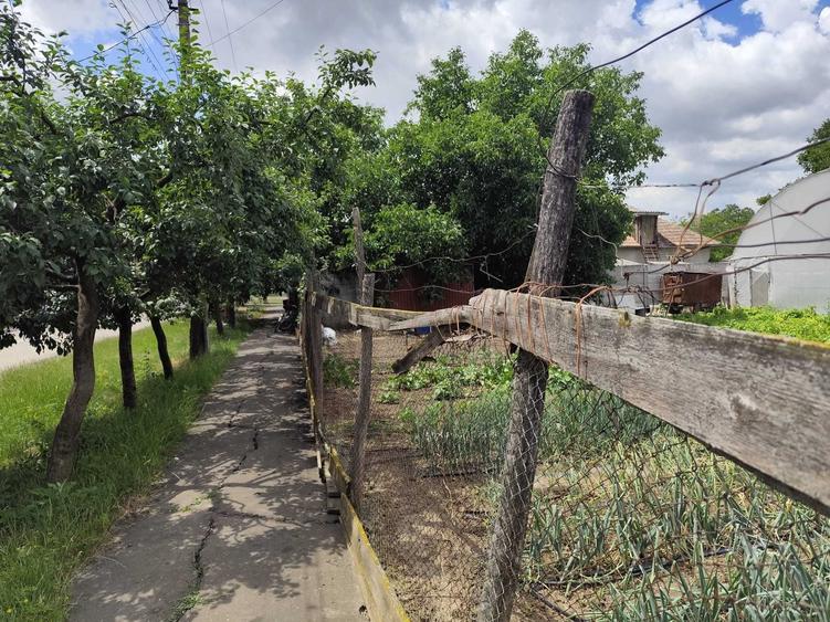Vand loc de casa in loc Carei - 3