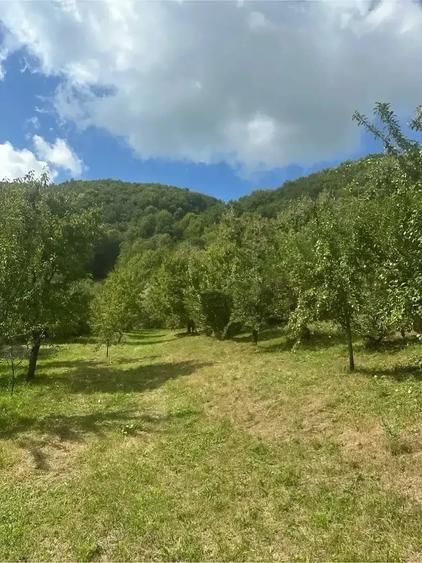 Teren de 2000 mp, în Malu cu Flori