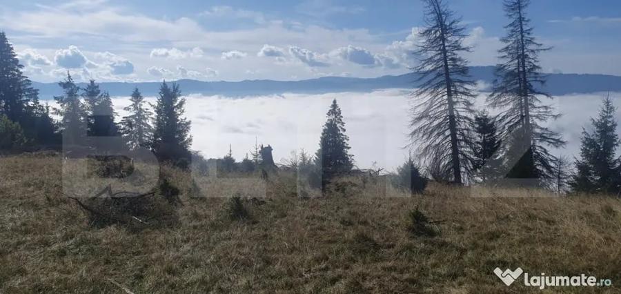 Teren în Central