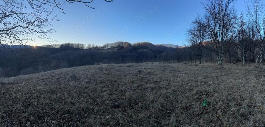 Teren de 4000 mp, în Gurguiata