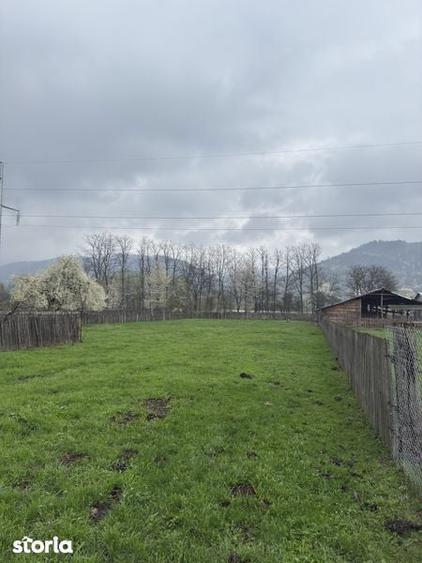 Teren Triaj Darmanesti - 6