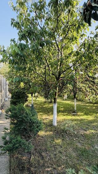 PROPRIETAR 2 Case in aceeasi curte | Calea Bogdanestilor statie de tramvai in fata casei - 7