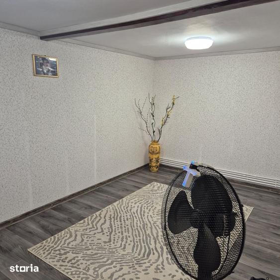 Casă cu 5 camere cu Teren 5000 Mp în Vidra