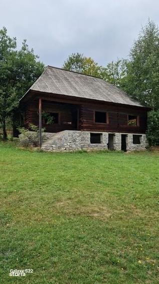 Vand casa de lemn veche - 1