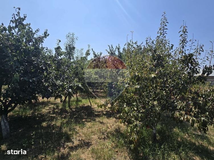 Casă cu 4 camere în Zorile