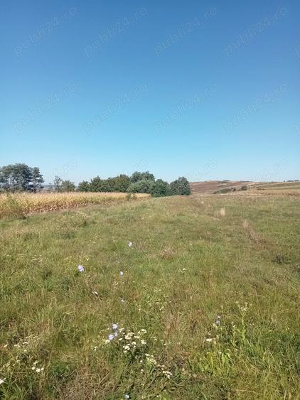 Teren de 1800 mp, în Văculești